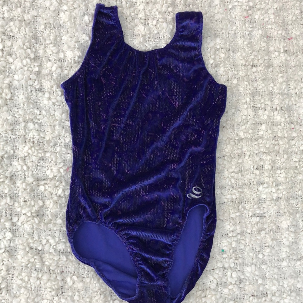 Dreamlight beautiful velvet gymnastics leotard